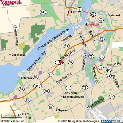Find Ottawa female escort Funvalerie and her stockings, garters, and see through blouses.